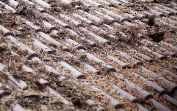 Laxobigging roof cleaning companies