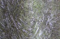 Laxobigging fibreglass roof work