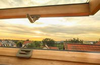 rated Laxobigging roof window companies